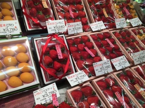 giá trái cây đắt